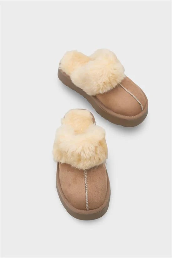 Capone Furry Closed Toe Women Sued Beige Slippers