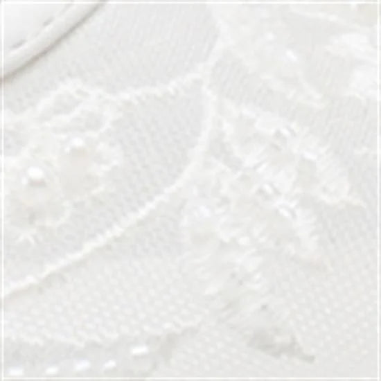 Capone Mathilde Lace Mesh Embroidered Women White Ballet Flat